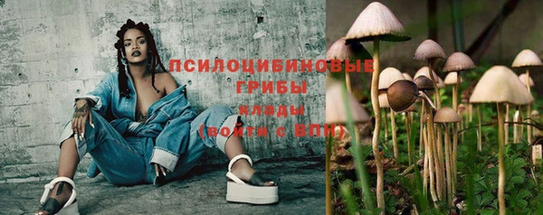 apvp Надым