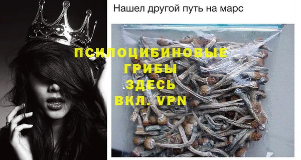 apvp Надым