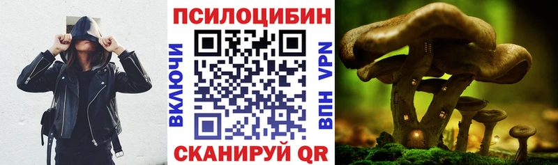 Галлюциногенные грибы Magic Shrooms  Купить где  Семикаракорск 