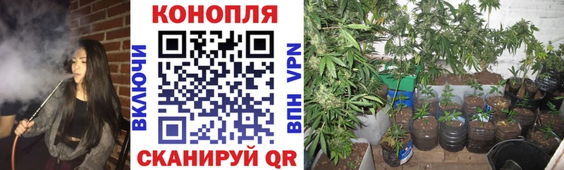 МАРИХУАНА сатива  Купить закладки  Семикаракорск 